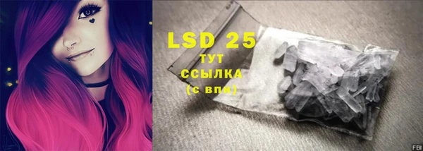 гашик Ладушкин