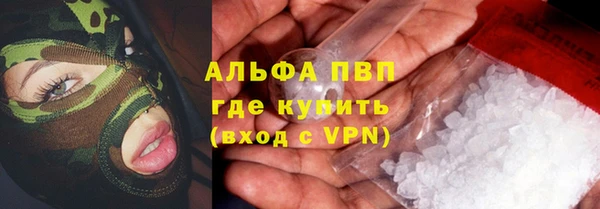 ПСИЛОЦИБИНОВЫЕ ГРИБЫ Покров