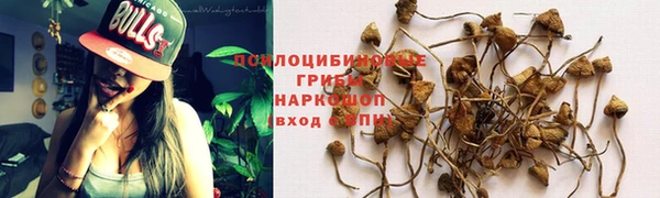 мескалин Лагань