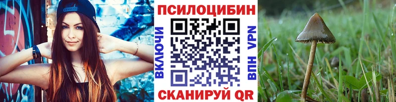 Галлюциногенные грибы Magic Shrooms  сколько стоит  Красноперекопск 